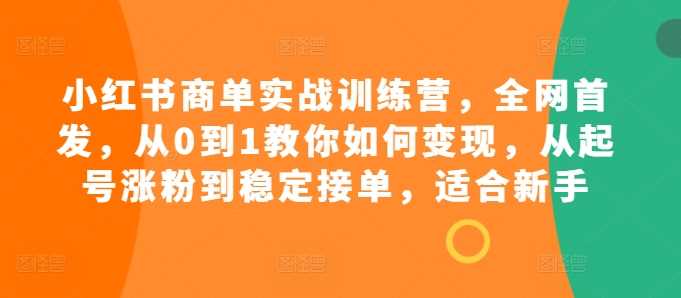 小红书商单实战训练营,全网首发,从0到1教你如何变现,从起号涨粉到稳定接单,适合新手 -1 小红书商单实战训练营,全网首发,从0到1教你如何变现,从起号涨粉到稳定接单,适合新手 -1