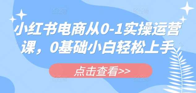 小红书电商从0-1实操运营课,0基础小白轻松上手 -1 小红书电商从0-1实操运营课,0基础小白轻松上手 -1