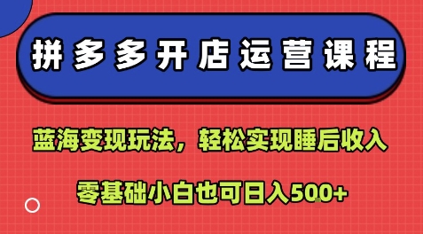 拼多多开店运营课程:蓝海变现玩法,轻松实现睡后收入,零基础小白也可日入5张 -1 拼多多开店运营课程:蓝海变现玩法,轻松实现睡后收入,零基础小白也可日入5张 -1