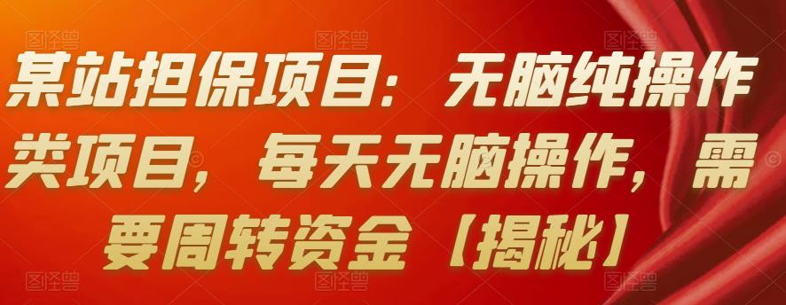 某站担保项目：无脑纯操作类项目，每天无脑操作，需要周转资金【揭秘】-58电商