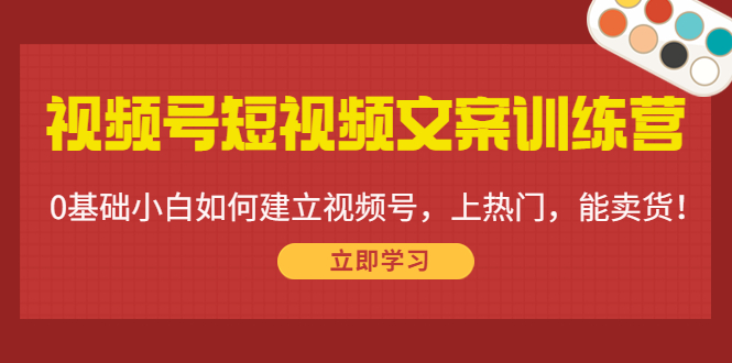 视频号短视频文案训练营：0基础小白如何建立视频号，上热门，能卖货！-58电商