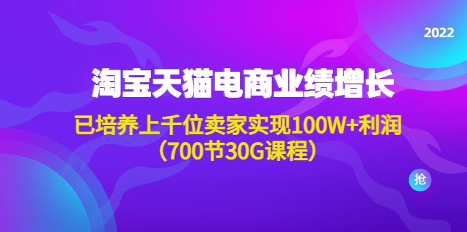 淘系天猫电商业绩增长：已培养上千位卖家实现100W+利润（700节30G课程）-58电商