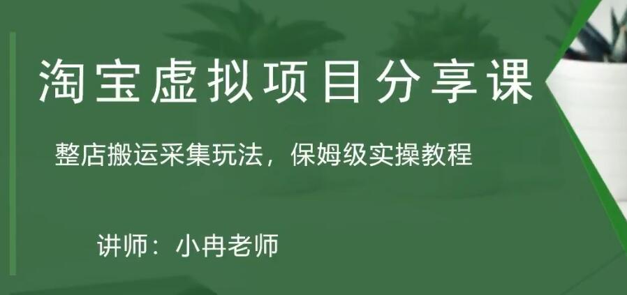 淘宝虚拟整店搬运采集玩法分享课：整店搬运采集玩法，保姆级实操教程-58电商