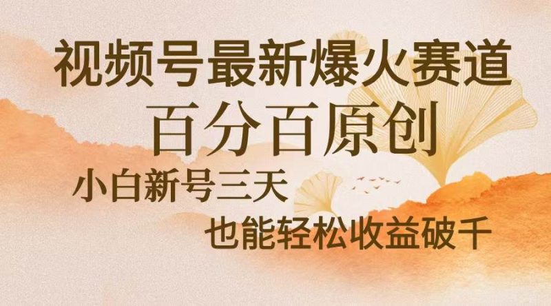 视频号最新爆火赛道，中老年粉深信不疑，百分百原创，新号三天收益轻松…-58电商