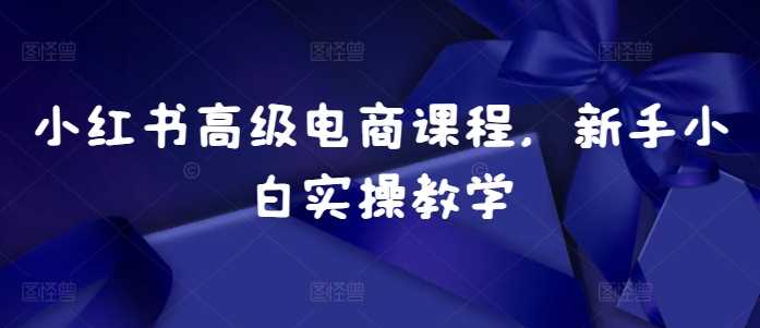 小红书高级电商课程，新手小白实操教学-58电商