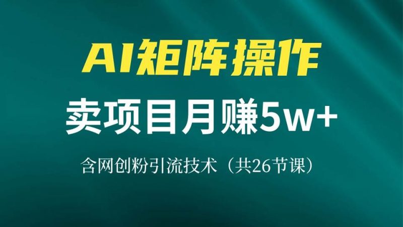 网创IP打造课，借助AI卖项目月赚5万+，含引流技术（共26节课）-58电商