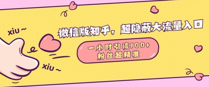 微信版知乎，超隐蔽流量入口1小时引流100人，粉丝质量超高【揭秘】-58电商