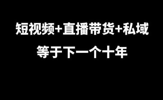 短视频+直播带货+私域等于下一个十年，大佬7年实战经验总结-58电商