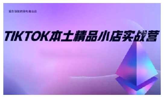 TikTok本土精品小店出海实战营，从入门到高阶，不止0-1!-58电商