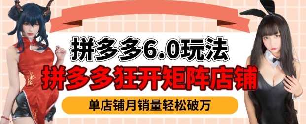 拼多多虚拟商品暴利6.0玩法，轻松实现月入过W-58电商