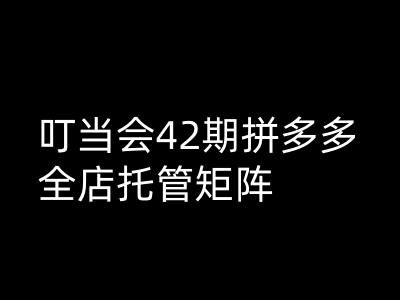 叮当会拼多多打爆班原创高阶技术第42期，拼多多全店托管矩阵-58电商