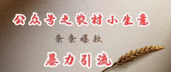 deepseek写农村小项目，条条爆款，暴力引流-58电商