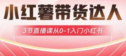 小红薯达人带货启航计划，3节直播课从0-1入门小红书-58电商