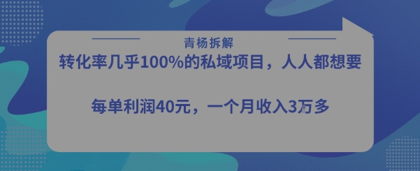 转化率最高的私域项目，每单利润40-50米，月入过1w-58电商