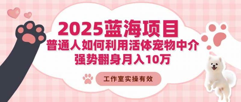 2025蓝海项目：普通人如何利用活体宠物中介，强势翻身月入10万-58电商