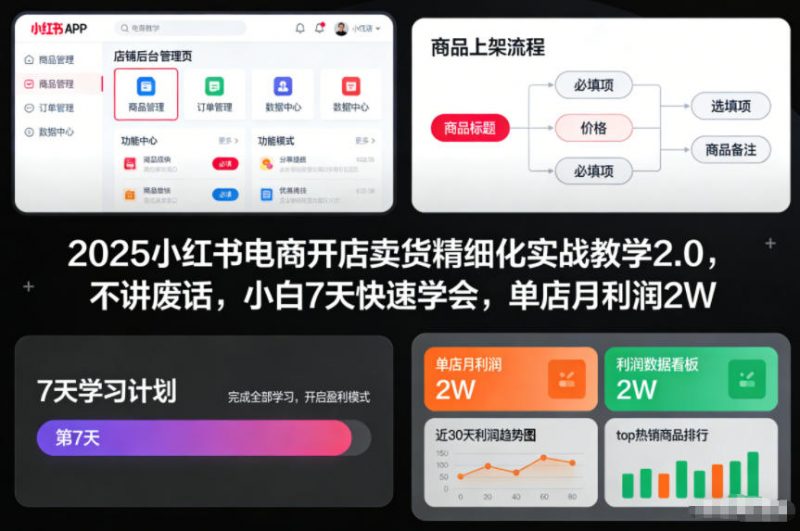 2025小红书电商开店卖货精细化实战教学2.0，不讲废话，小白7天快速学会，单店月利润2W-58电商