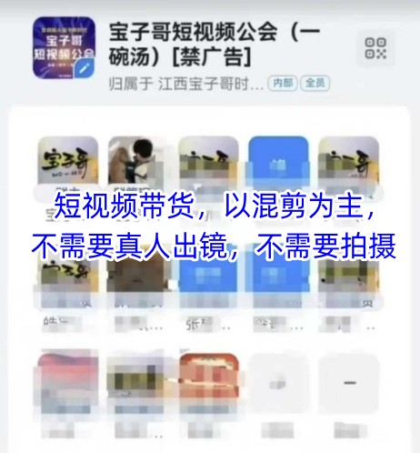 宝子哥头部团队短视频带货，以混剪为主，不需要真人出镜，不需要拍摄【更新26年3月】-58电商