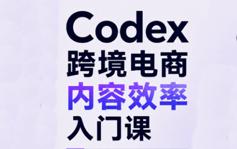 Codex跨境电商内容效率入门课-58电商