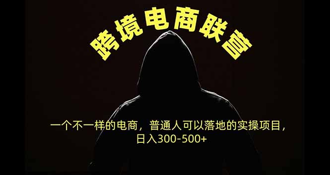 跨境电商联营，一个不一样的电商，普通人可操作日入300-500+-58电商