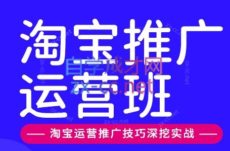 美迪电商·淘宝高级运营班+推广运营班(更新9月)-58电商