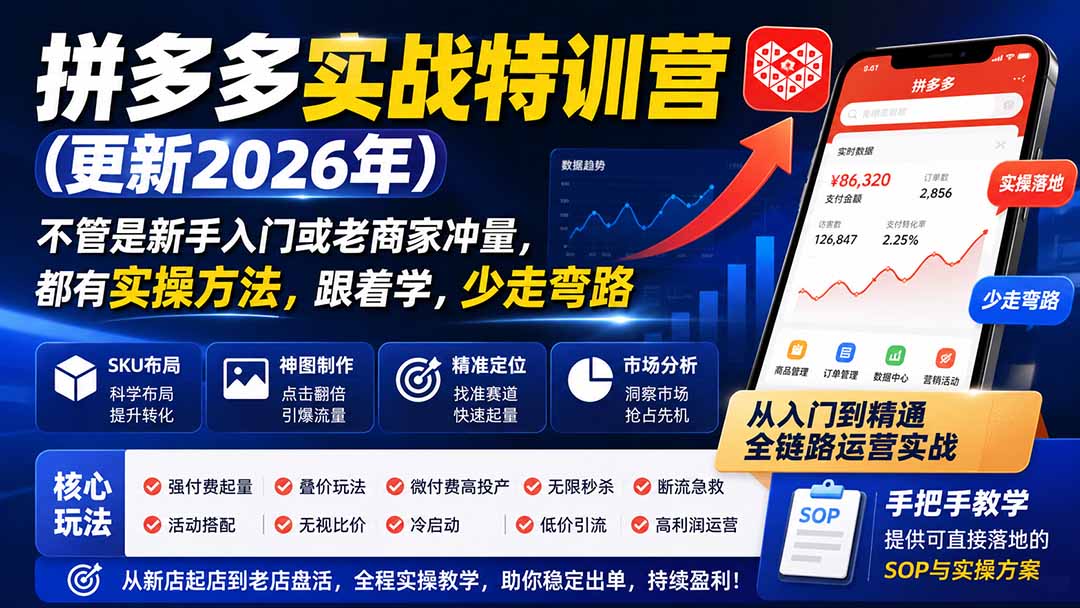 拼多多实战特训营(更新1017-58电商